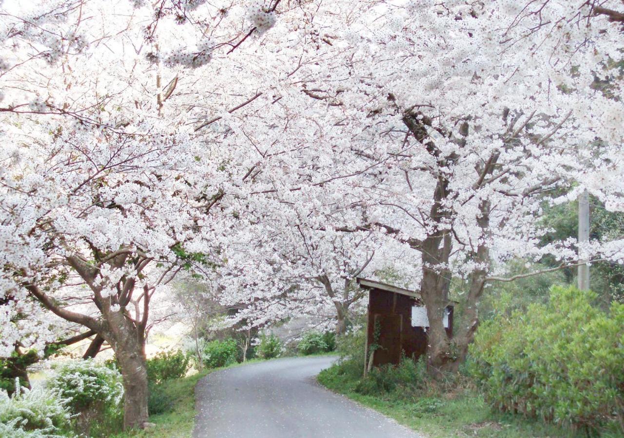 Nishiizu Matsuzaki Itoen Hotel Zewnętrze zdjęcie